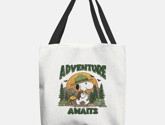 An Adventure Awaits