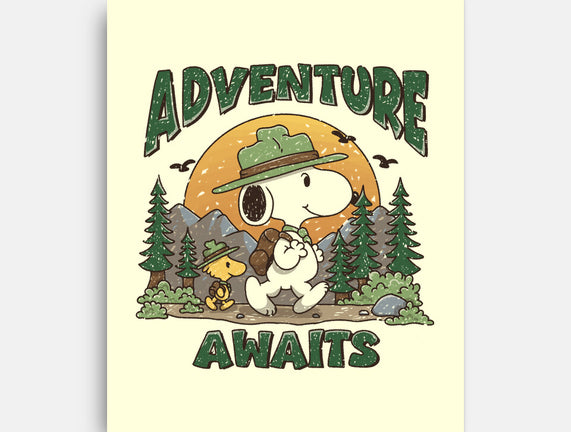 An Adventure Awaits