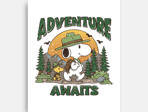 An Adventure Awaits