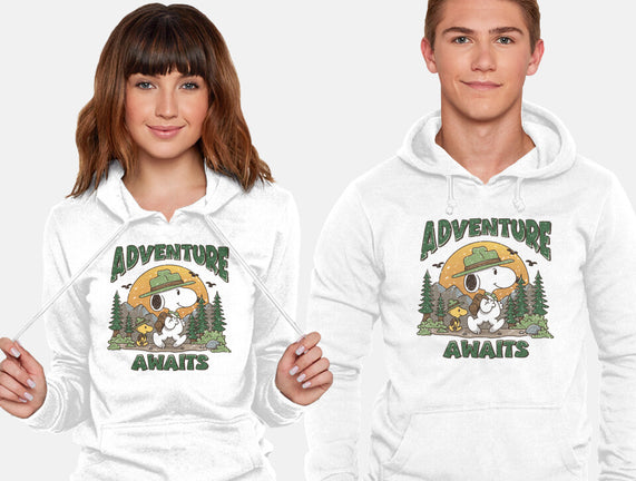 An Adventure Awaits