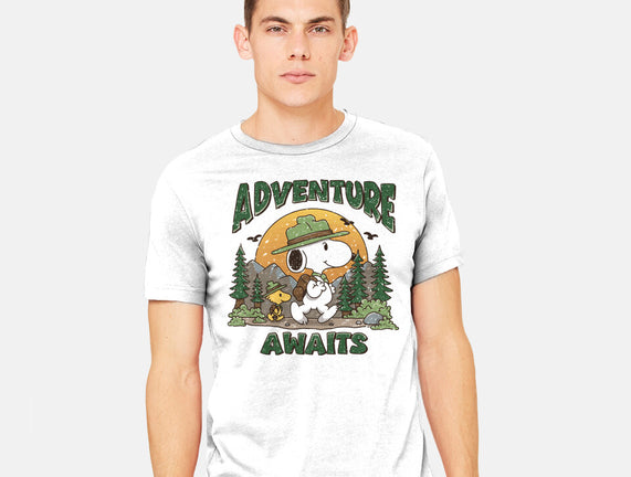 An Adventure Awaits