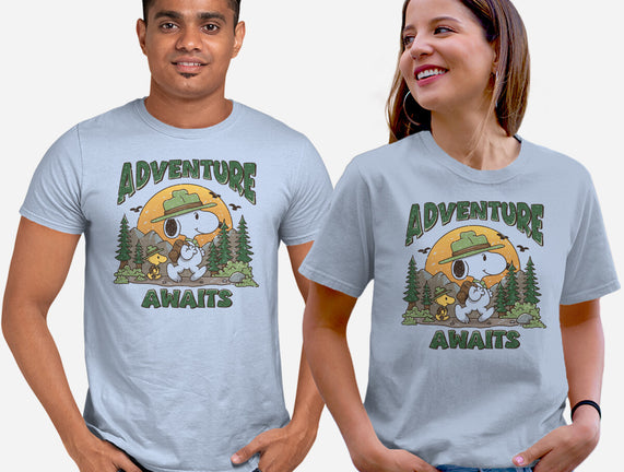 An Adventure Awaits