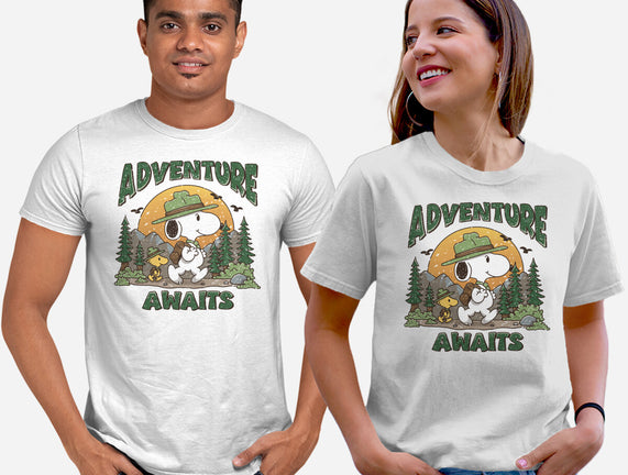 An Adventure Awaits