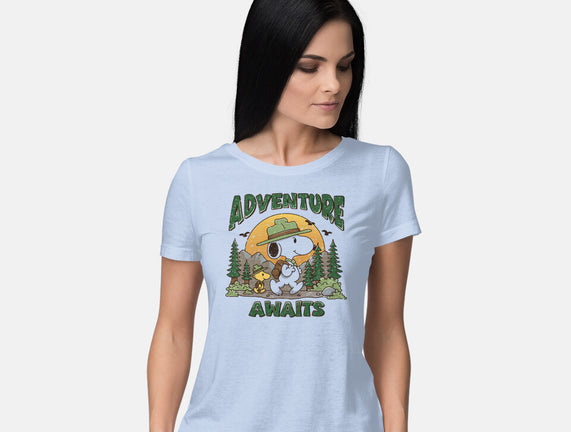 An Adventure Awaits