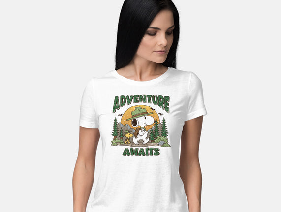 An Adventure Awaits