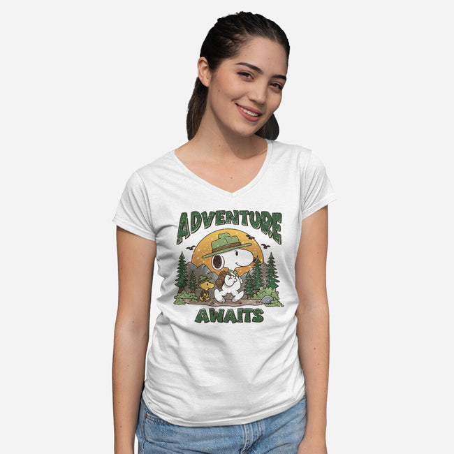An Adventure Awaits-Womens-V-Neck-Tee-Loobs