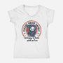 Please Drive Safely-Womens-V-Neck-Tee-Loobs