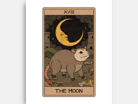The Moon Opossum Tarot
