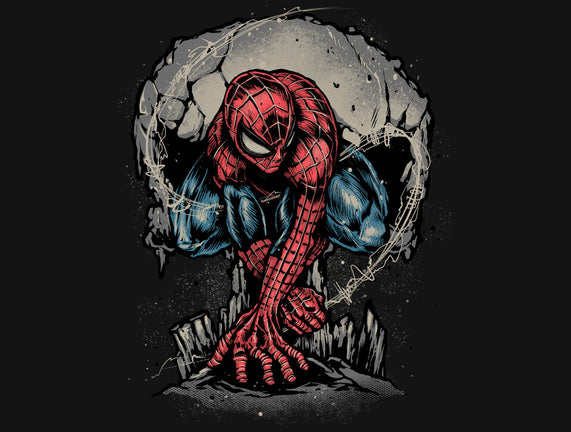 Web Swing And Punishment
