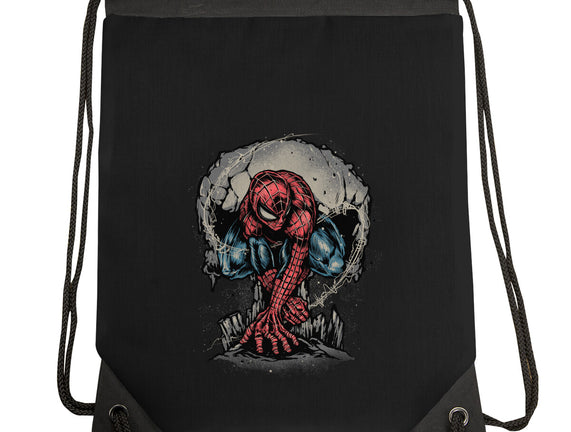 Web Swing And Punishment