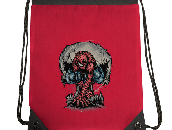Web Swing And Punishment