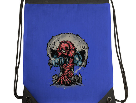 Web Swing And Punishment