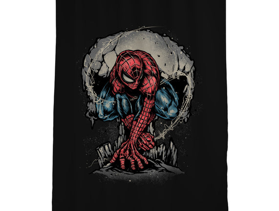 Web Swing And Punishment