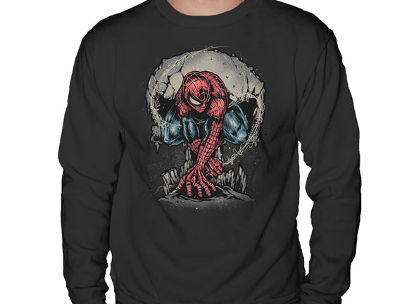 Web Swing And Punishment