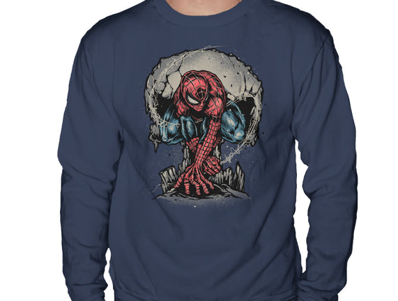 Web Swing And Punishment