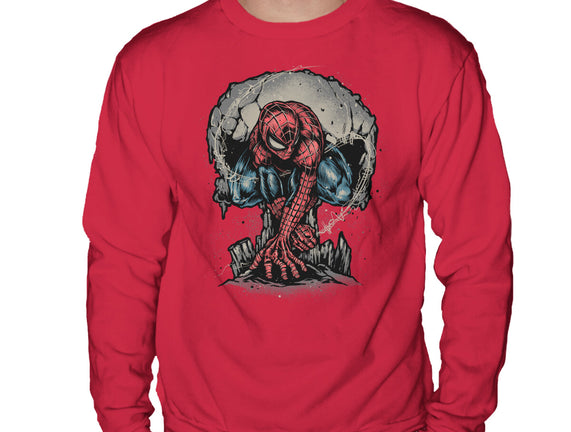 Web Swing And Punishment