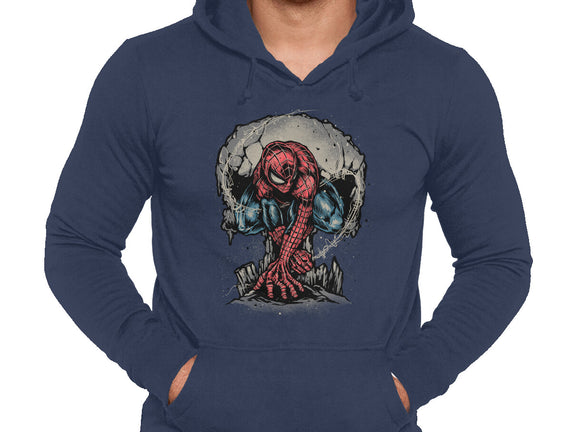Web Swing And Punishment