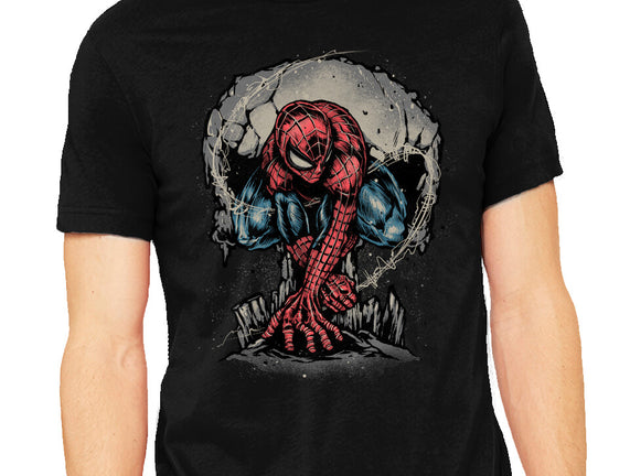 Web Swing And Punishment