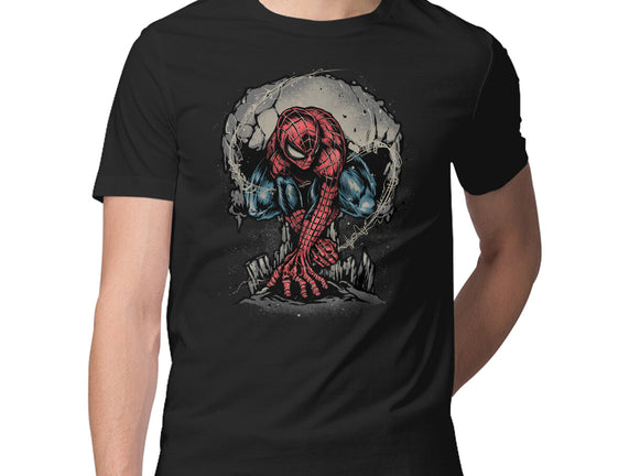 Web Swing And Punishment