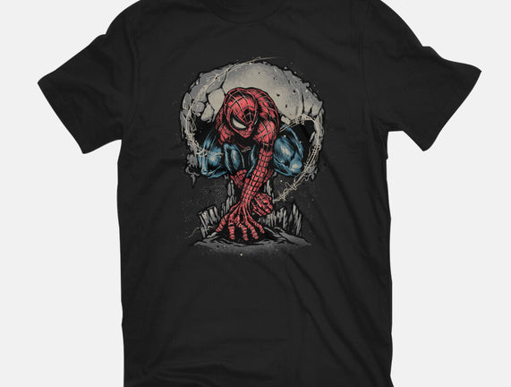 Web Swing And Punishment