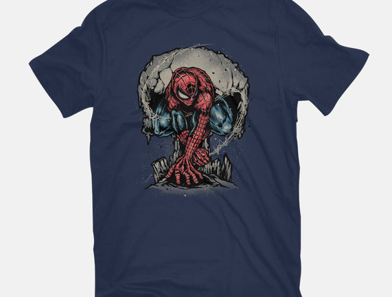 Web Swing And Punishment