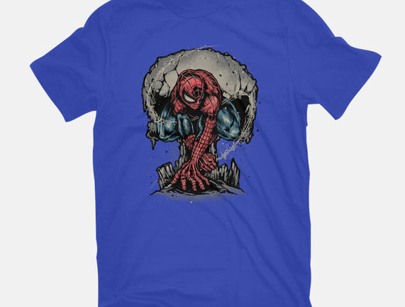 Web Swing And Punishment