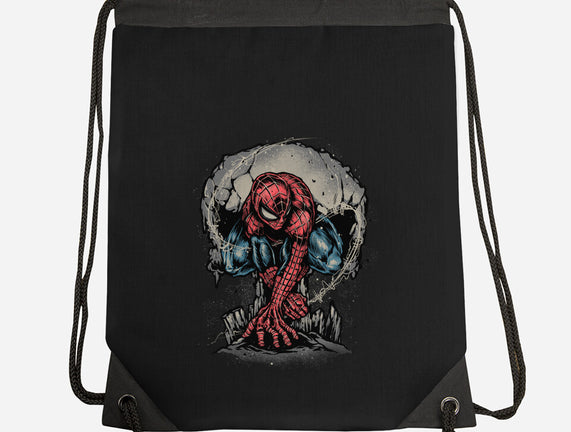 Web Swing And Punishment