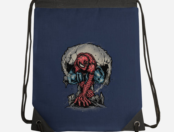 Web Swing And Punishment