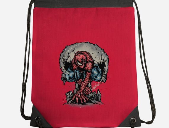 Web Swing And Punishment