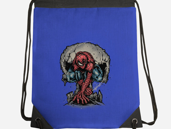 Web Swing And Punishment
