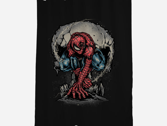 Web Swing And Punishment