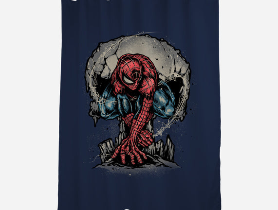 Web Swing And Punishment
