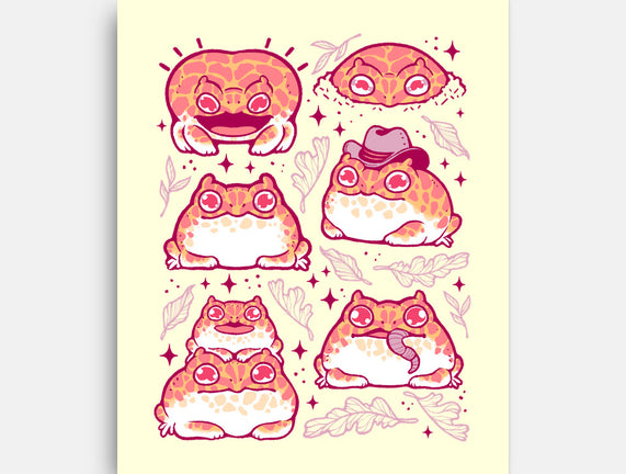 Cute Pacman Frog