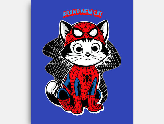 Brand New Cat