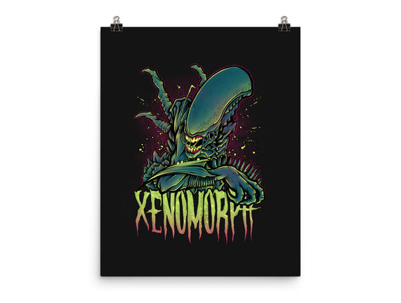 Beware The Xenomorph
