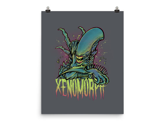 Beware The Xenomorph