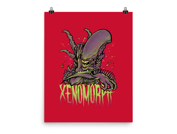 Beware The Xenomorph