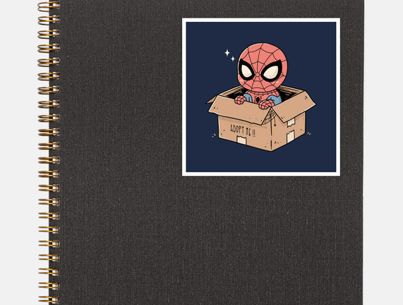 Adopt A Spider