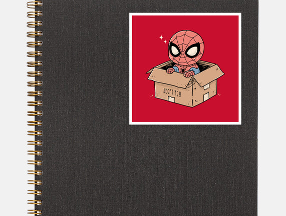 Adopt A Spider