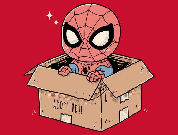 Adopt A Spider