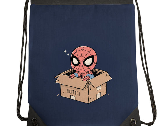 Adopt A Spider