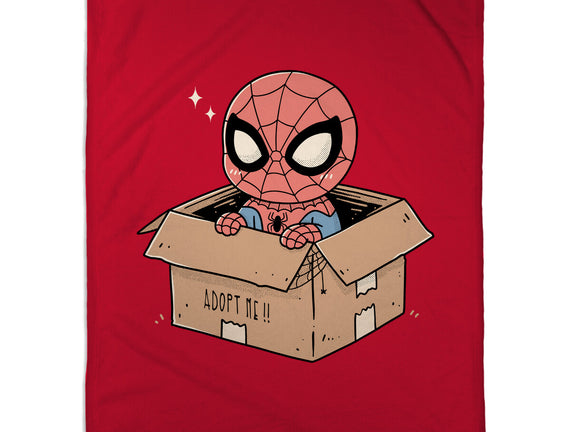 Adopt A Spider