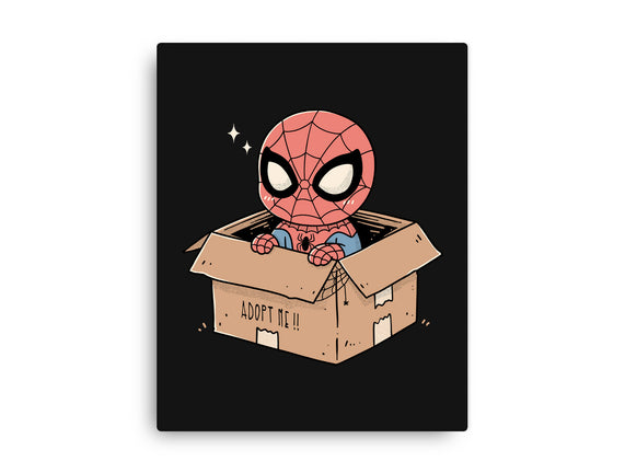 Adopt A Spider