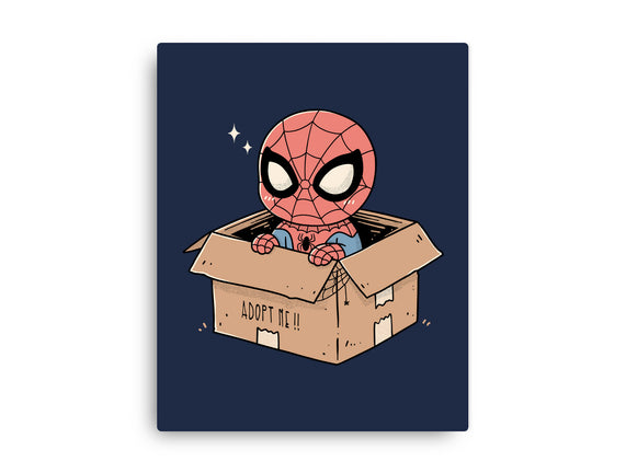 Adopt A Spider