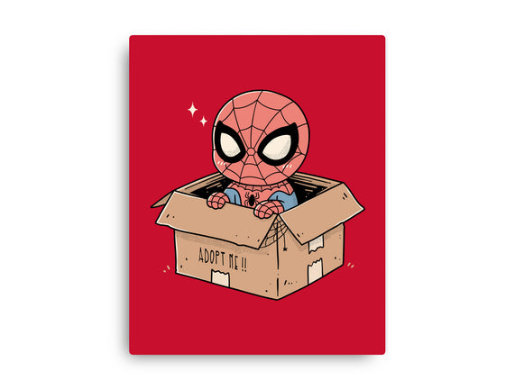 Adopt A Spider