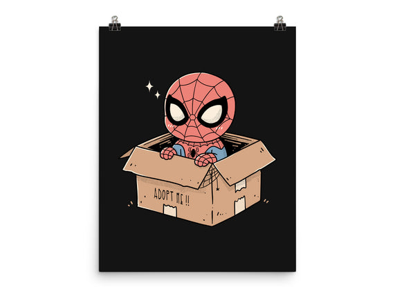 Adopt A Spider