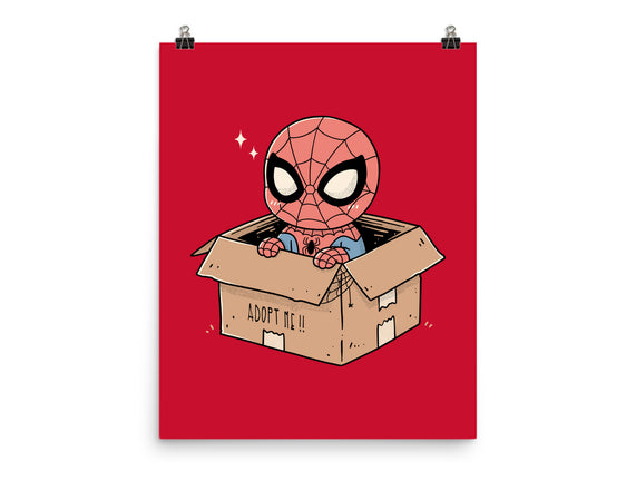 Adopt A Spider
