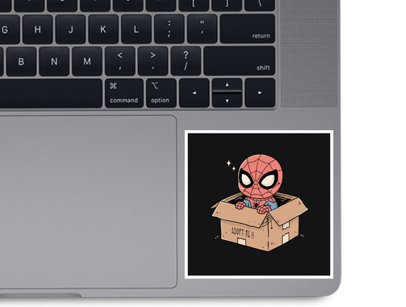 Adopt A Spider