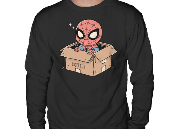 Adopt A Spider