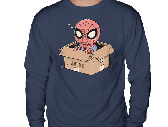 Adopt A Spider